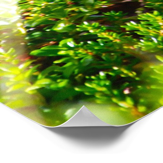 ワイルドグロース ポスター (角)