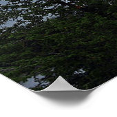 ワイルドグースアイランド ポスター (角)