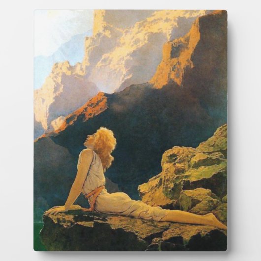 ワイルドゲーズバイマックスフィールドパリシュ フォトプラーク (正面)