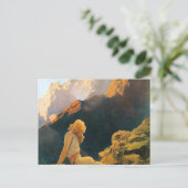 ワイルドゲーズバイマックスフィールドパリシュ ポストカード (スタンド正面)