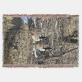 ワイルドゲーゼブランケット スローブランケット (正面)