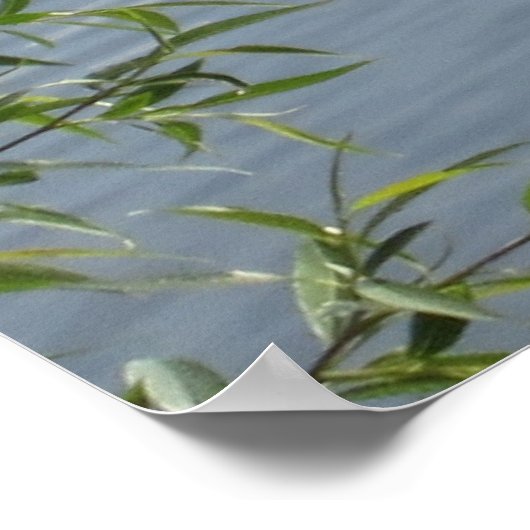 ワイルドゲーゼポスター ポスター (角)