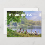 ワイルドゲーゼレイクブルースカイサンシャインチェンジ 案内ポストカード (正面/裏面)