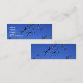 ワイルドゲーゼ飛行 | スキニー名刺 (正面/裏面)