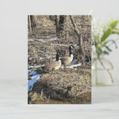 ワイルドゲーゼ (スタンド正面)