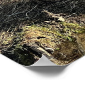 ワイルドゲーゼ ポスター (角)