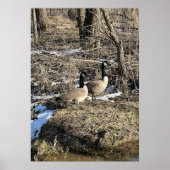 ワイルドゲーゼ ポスター (正面)