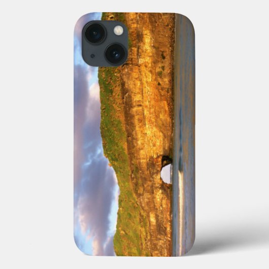 ワイルドコーストの壁の穴 Case-Mate iPhoneケース (裏面)