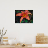 ワイルドコーラル鮮やかタウニーデイリリポスター ポスター (キッチン)