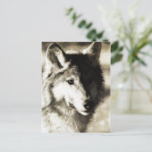 ワイルドシリーズ19 ポストカード (スタンド正面)