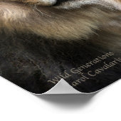 ワイルドジェネレーションアートポスター/プリント ポスター (角)