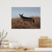 ワイルドジャッカル ポスター (キッチン)