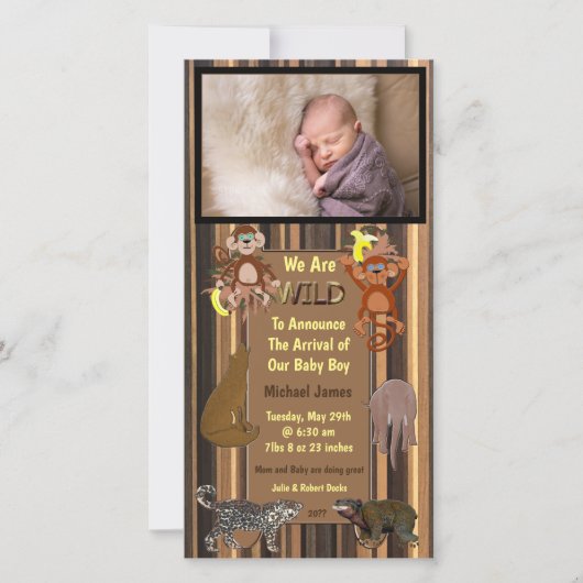 ワイルドジャングルストライプ誕生 案内状 (正面)