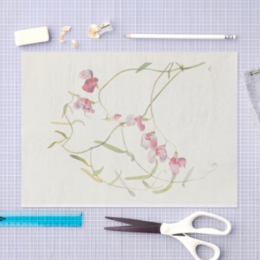 ワイルドスイートピーバイマーガレットアームストロング 薄葉紙 (クラフト)