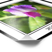 ワイルドスウィーティ フォトプリント            (角)