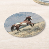 ワイルドスタリオンコースター ラウンドペーパーコースター (アングル)