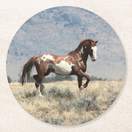 ワイルドスタリオンコースター ラウンドペーパーコースター (正面)