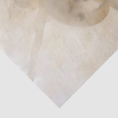 ワイルドスピリットブラックホースポートレート 薄葉紙 (詳細)