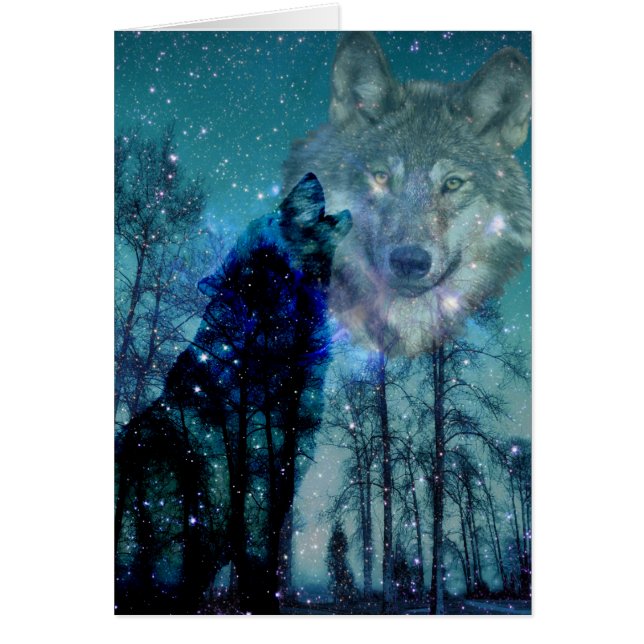 ワイルドスピリット (正面)