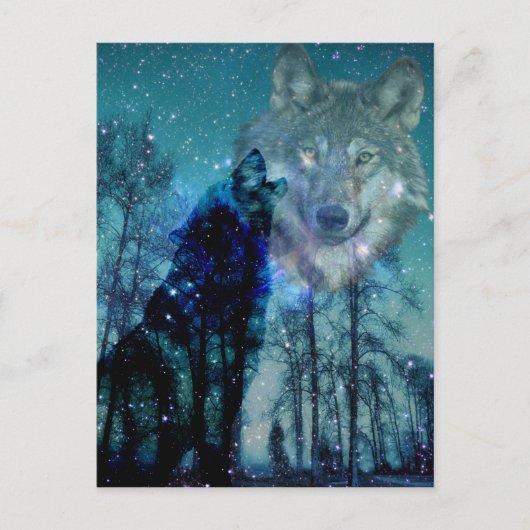 ワイルドスピリット ポストカード (正面)