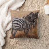 ワイルドゼブラ装飾用クッション クッション (ブランケット)