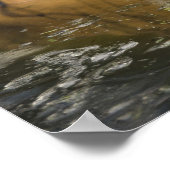 ワイルドタイガーサファリジャングルのアートワーク写真ポスター ポスター (角)