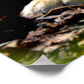 ワイルドタイガー ポスター (角)