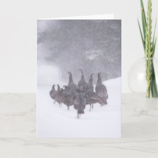 ワイルドターキーのグリーティングカード カード (正面)