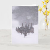 ワイルドターキーのグリーティングカード カード (黄色い花)