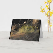 ワイルドターキーのグリーティングカード カード (黄色い花)