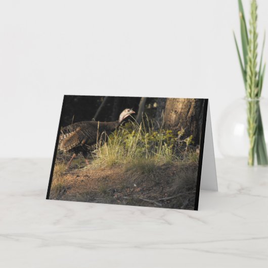 ワイルドターキーのグリーティングカード カード (正面)