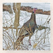 ワイルドターキーガラスコースター ガラスコースター (正面)