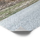 ワイルドターキーズポスター ポスター (角)