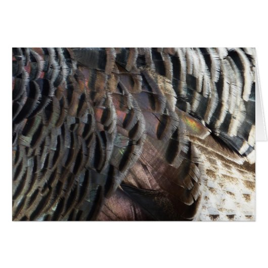 ワイルドターキーフェザーI抽象芸術自然デザイン (正面横)