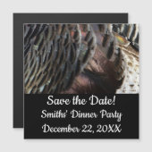 ワイルドターキーフェザーI抽象芸術自然デザイン (正面/裏面)