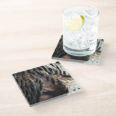 ワイルドターキーフェザーI抽象芸術自然デザイン ガラスコースター (アングル)