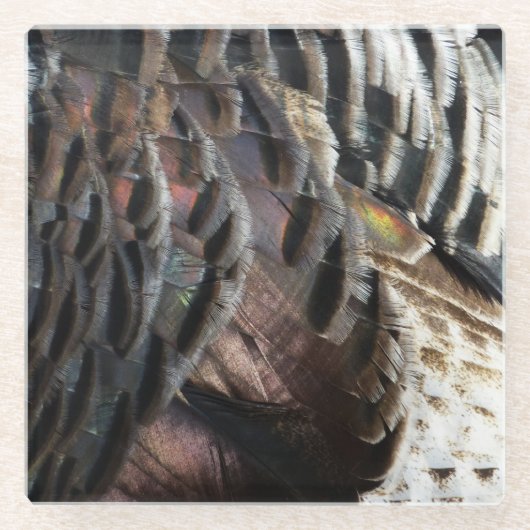 ワイルドターキーフェザーI抽象芸術自然デザイン ガラスコースター (正面)