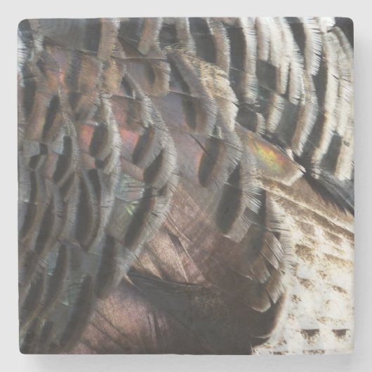 ワイルドターキーフェザーI抽象芸術自然デザイン ストーンコースター (正面)