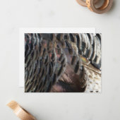 ワイルドターキーフェザーI抽象芸術自然デザイン ノートカード (正面/裏面インサイチュ)