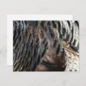 ワイルドターキーフェザーI抽象芸術自然デザイン ノートカード (正面/裏面)