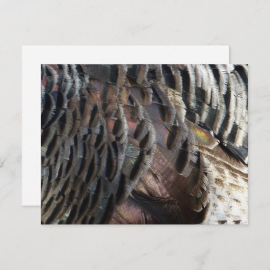 ワイルドターキーフェザーI抽象芸術自然デザイン ノートカード (正面/裏面)