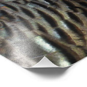 ワイルドターキーフェザーI抽象芸術自然デザイン フォトプリント (角)