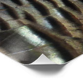 ワイルドターキーフェザーI抽象芸術自然デザイン ポスター (コーナー)