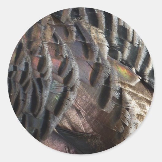 ワイルドターキーフェザーI抽象芸術自然デザイン ラウンドシール (正面)