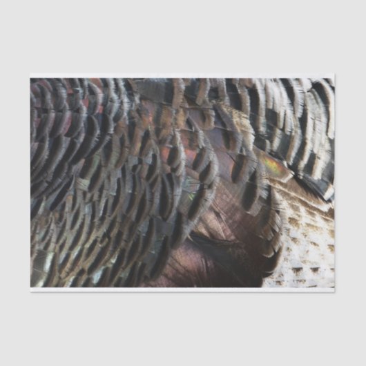 ワイルドターキーフェザーI抽象芸術自然デザイン 薄葉紙 (正面)