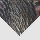 ワイルドターキーフェザーI抽象芸術自然デザイン 薄葉紙 (詳細)