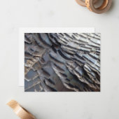 ワイルドターキーフェザーII抽象芸術自然デザイン ノートカード (正面/裏面インサイチュ)