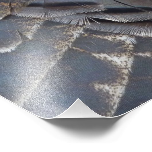 ワイルドターキーフェザーII抽象芸術自然デザイン フォトプリント (角)