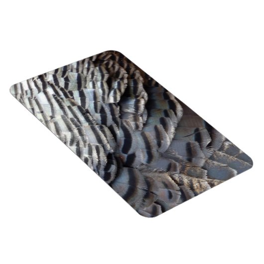 ワイルドターキーフェザーII抽象芸術自然デザイン マグネット (右側)