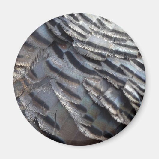 ワイルドターキーフェザーII抽象芸術自然デザイン マグネット (正面)